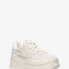 Buty sportowe na platformie z logo Hayes Signature Buty sportowe na platformie z logo Hayes Signature