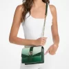 Mała torebka typu crossbody Greenwich Ombré z logo Signature Mała torebka typu crossbody Greenwich Ombré z logo Signature